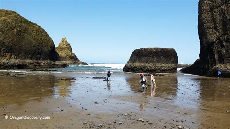 antony starr beach|hidden beach oregon coast.